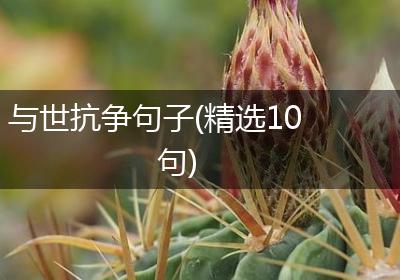 与世抗争句子(精选10句)