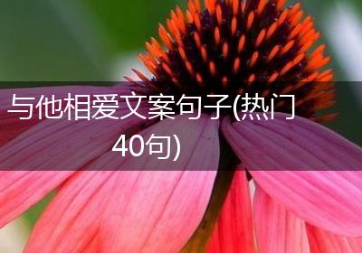 与他相爱文案句子(热门40句)