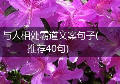 与人相处霸道文案句子(推荐40句)