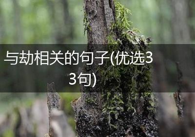 与劫相关的句子(优选33句)