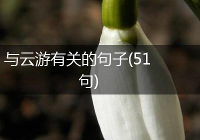 与云游有关的句子(51句)