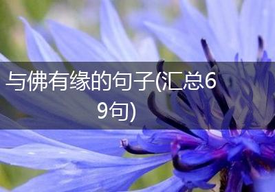 与佛有缘的句子(汇总69句)