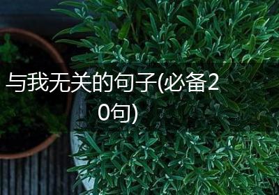 与我无关的句子(必备20句)
