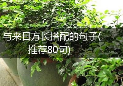 与来日方长搭配的句子(推荐80句)