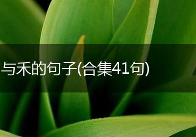 与禾的句子(合集41句)