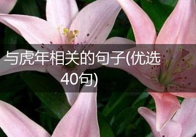 与虎年相关的句子(优选40句)