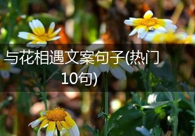 与花相遇文案句子(热门10句)
