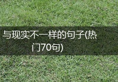 与现实不一样的句子(热门70句)