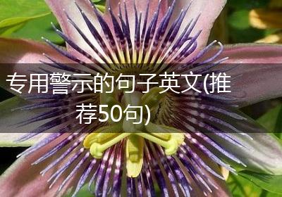 专用警示的句子英文(推荐50句)