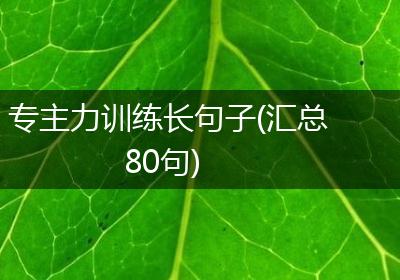 专主力训练长句子(汇总80句)