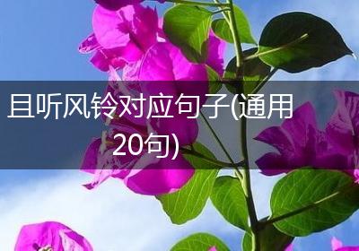 且听风铃对应句子(通用20句)