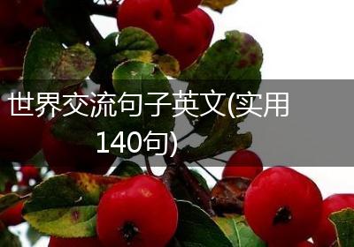 世界交流句子英文(实用140句)