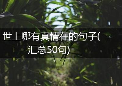 世上哪有真情在的句子(汇总50句)