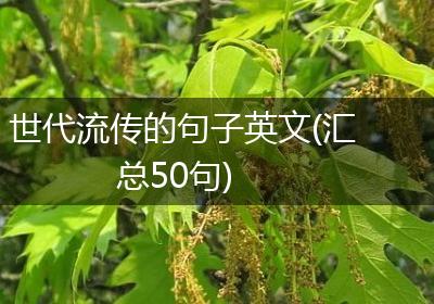 世代流传的句子英文(汇总50句)
