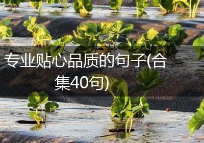专业贴心品质的句子(合集40句)