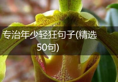 专治年少轻狂句子(精选50句)