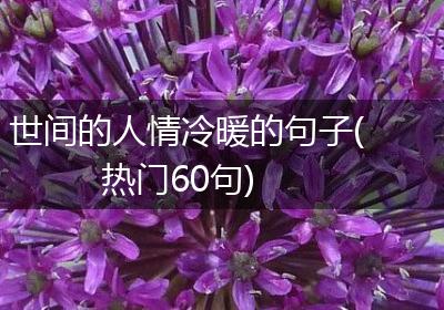 世间的人情冷暖的句子(热门60句)