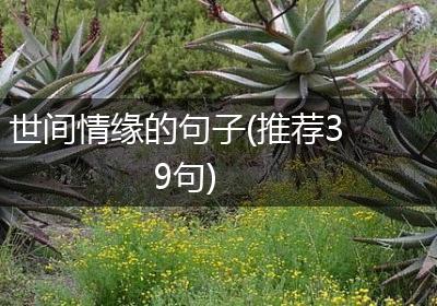 世间情缘的句子(推荐39句)