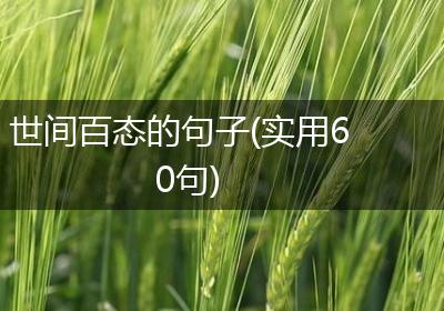 世间百态的句子(实用60句)