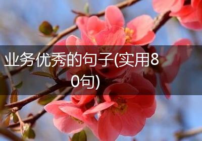 业务优秀的句子(实用80句)
