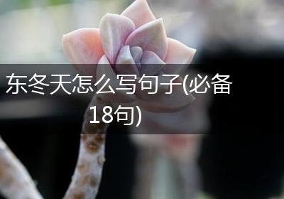 东冬天怎么写句子(必备18句)