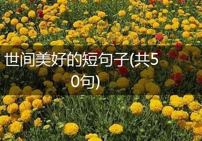 世间美好的短句子(共50句)