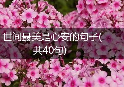 世间最美是心安的句子(共40句)