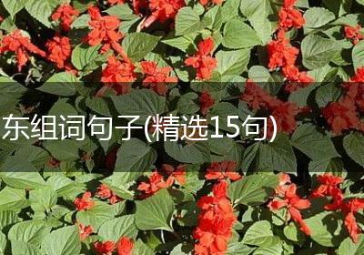 东组词句子(精选15句)