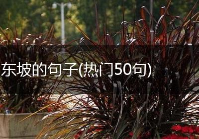 东坡的句子(热门50句)