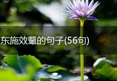 东施效颦的句子(56句)