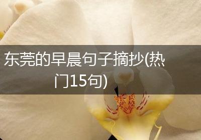 东莞的早晨句子摘抄(热门15句)