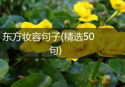 东方妆容句子(精选50句)