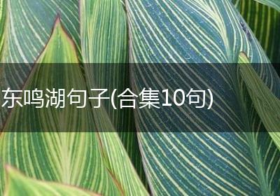 东鸣湖句子(合集10句)