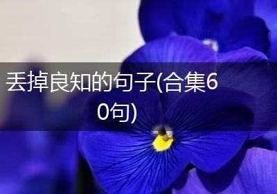 丢掉良知的句子(合集60句)