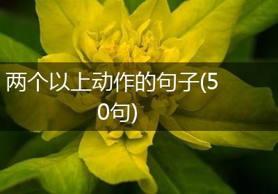 两个以上动作的句子(50句)