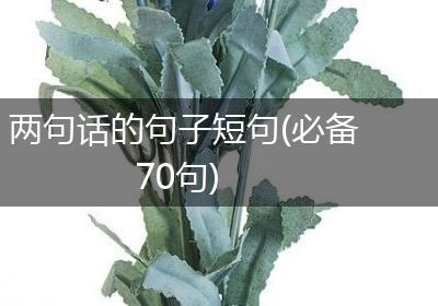两句话的句子短句(必备70句)
