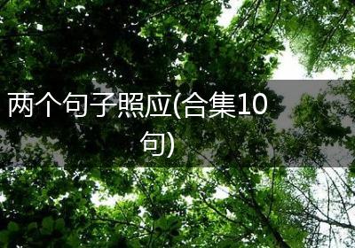 两个句子照应(合集10句)