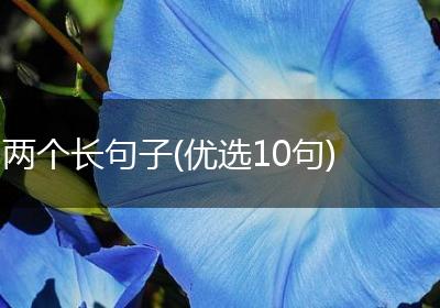 两个长句子(优选10句)