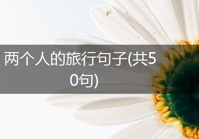 两个人的旅行句子(共50句)