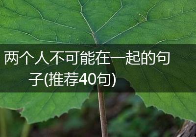 两个人不可能在一起的句子(推荐40句)