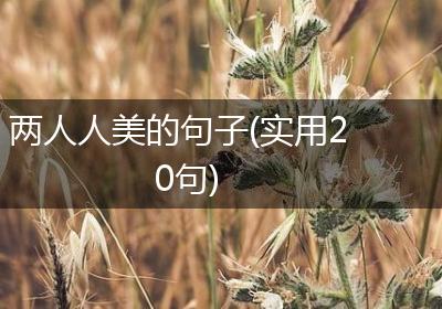 两人人美的句子(实用20句)