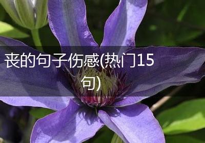 丧的句子伤感(热门15句)