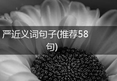 严近义词句子(推荐58句)