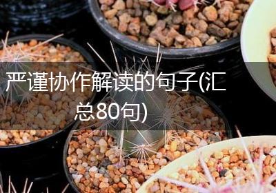严谨协作解读的句子(汇总80句)