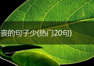 丧的句子少(热门20句)