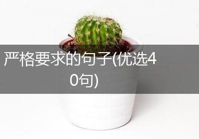 严格要求的句子(优选40句)