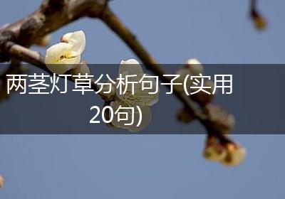 两茎灯草分析句子(实用20句)