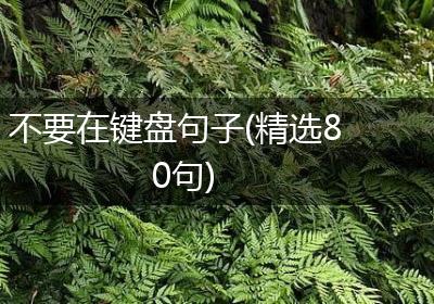 不要在键盘句子(精选80句)