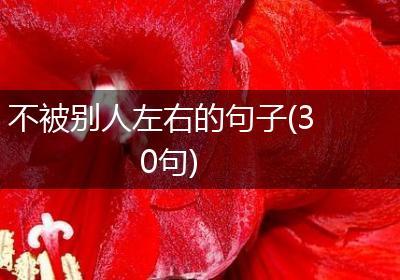 不被别人左右的句子(30句)