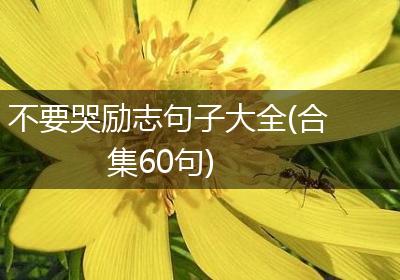 不要哭励志句子大全(合集60句)